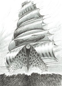 Creatori di tempeste Tosa Wan, 2022