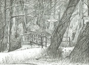 Il vecchio ponte di metallo, parco di Bramhall