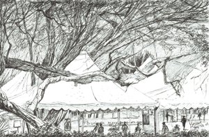 Tende da matrimonio al Lago Navaisha, Kenya, 2003 da Vincent Alexander Booth