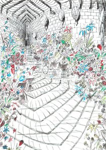 pagina37, Il castello nella foresta di Findhorn, 2006 da Vincent Alexander Booth