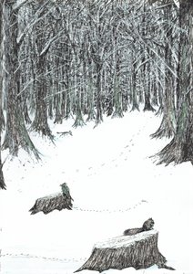 pagina5, Il Castello nella Foresta di Findhorn, 2006 da Vincent Alexander Booth