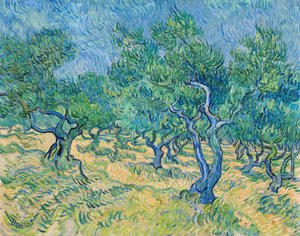 Uliveto, 1889 da Vincent van Gogh