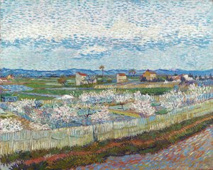 Alberi di pesco in fiore, 1889 da Vincent van Gogh