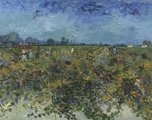 Il vigneto verde