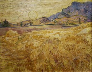 Campo di grano con mietitore e sole