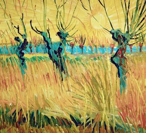 Salici al tramonto, 1888 da Vincent van Gogh