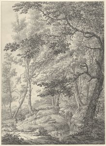 Paesaggio boschivo con un ponticello di legno e due escursionisti da Vincent Jansz. van der Vinne