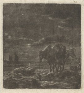 Paesaggio notturno con pastore dormiente e bestiame da Vincent Laurensz. van der Vinne (II)