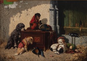 Compagni di circo