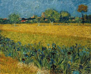 Vista di Arles con iris in primo piano