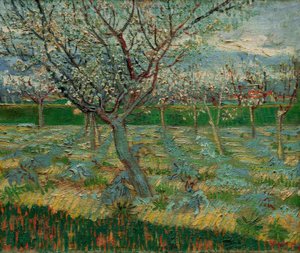 Frutteto in fiore con alberi di albicocca da Vincent van Gogh