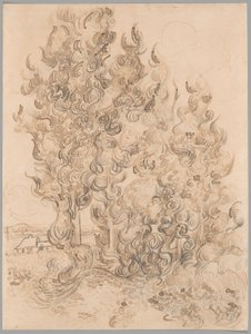 Cipressi da Vincent van Gogh