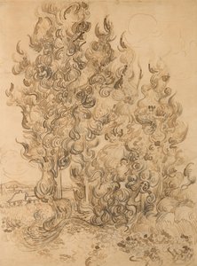 Cipressi da Vincent van Gogh