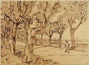La strada per Tarascon da Vincent van Gogh