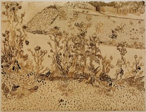 Cardi sul ciglio della strada da Vincent van Gogh