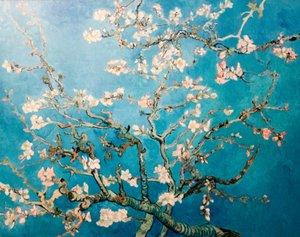 Olandese: Amandelbloesem Albero dei rami di mandorlo in fiore