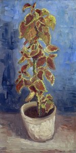 Ortica fiammeggiante in un vaso di fiori da Vincent van Gogh