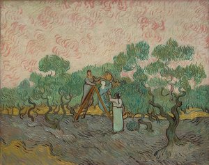Donne alla raccolta delle olive. 1889