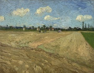 Campo arato (solchi). 1888 da Vincent van Gogh