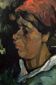 Testa di un contadino olandese, 1884 da Vincent van Gogh