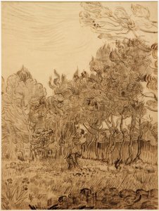 Nel parco del sanatorio da Vincent van Gogh