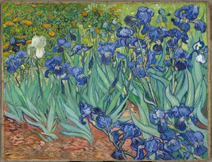 Iris da Vincent van Gogh