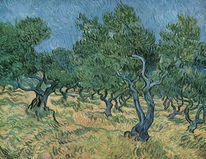 Uliveto da Vincent van Gogh