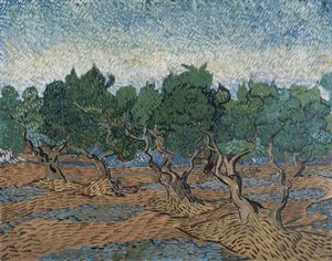 Uliveto da Vincent van Gogh