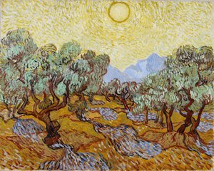 Ulivi da Vincent van Gogh