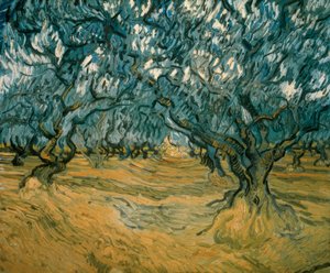 Ulivi da Vincent van Gogh