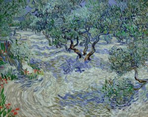 Uliveto da Vincent van Gogh