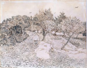 Ulivi a Montmajour da Vincent van Gogh