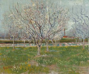 Frutteto in fiore (alberi di prugne) da Vincent van Gogh