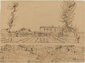 Contadino nei campi vicino ad Arles da Vincent van Gogh