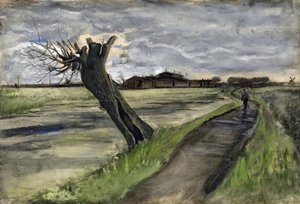 Salice capitozzato da Vincent van Gogh