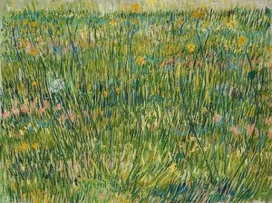 Prato da Vincent van Gogh