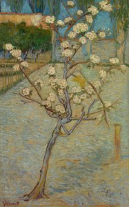 Piccolo albero di pero in fiore da Vincent van Gogh