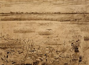 Paesaggio paludoso con ninfee da Vincent van Gogh