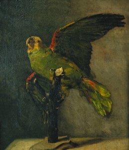 Il Pappagallo Verde; Le Perroquet Vert, 1885 da Vincent van Gogh