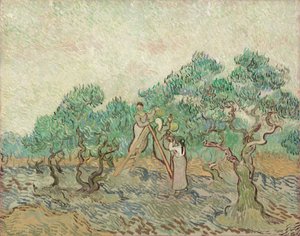Il frutteto di ulivi, 1889 da Vincent van Gogh