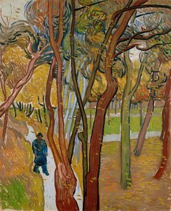 Il giardino dell