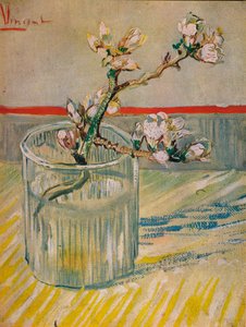 Ramo Fiorito di Mandorlo, 1888 da Vincent van Gogh