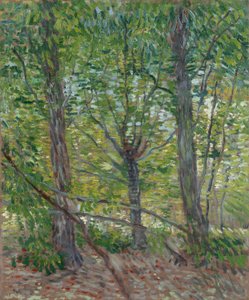  da Vincent van Gogh