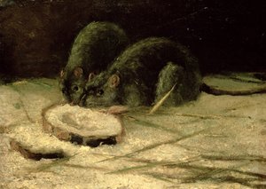 Due Ratti, c.1884 da Vincent van Gogh