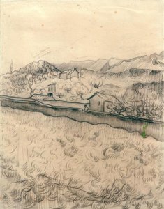 Campo murato