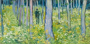 Sottobosco con due figure da Vincent van Gogh
