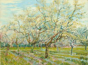 Il frutteto bianco da Vincent van Gogh