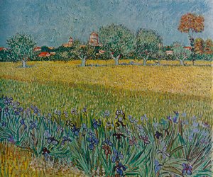 Veduta di Ales con iris in fiore, 1888 da Vincent van Gogh