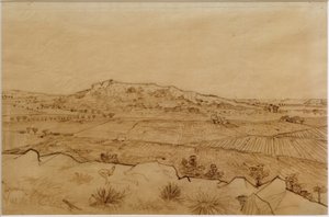 Veduta della Crau da Vincent van Gogh