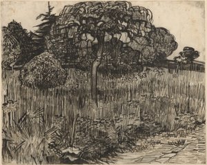 Albero piangente da Vincent van Gogh
